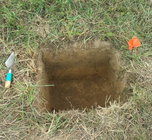 A 50cmX50cm square STP excavated during our project.