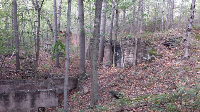 Structural remains at the DuPont Powder Mill site.